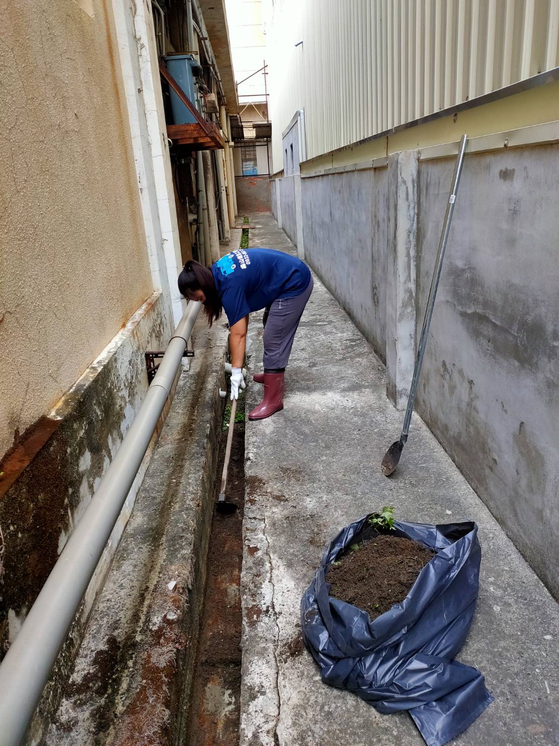 公司清水溝&nbsp;