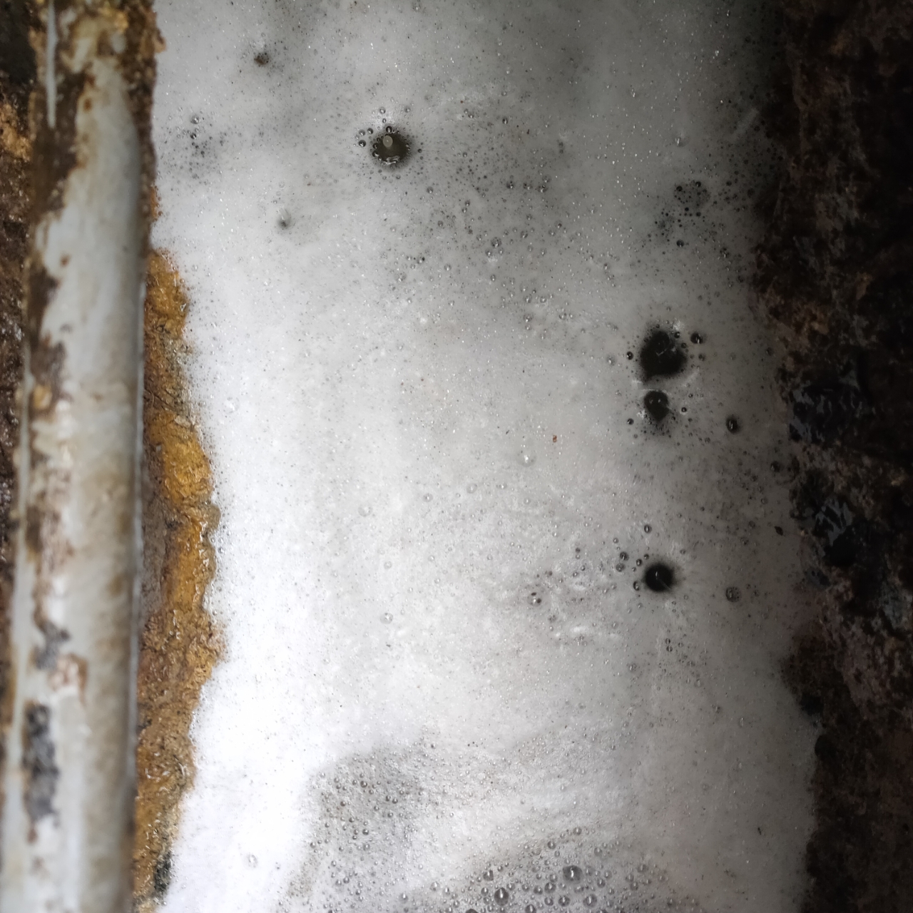 歸仁餐飲業清水溝