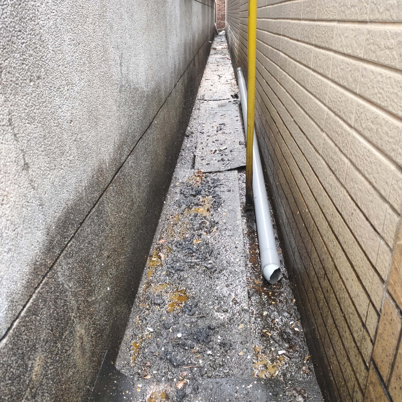 歸仁餐飲業清水溝&nbsp;