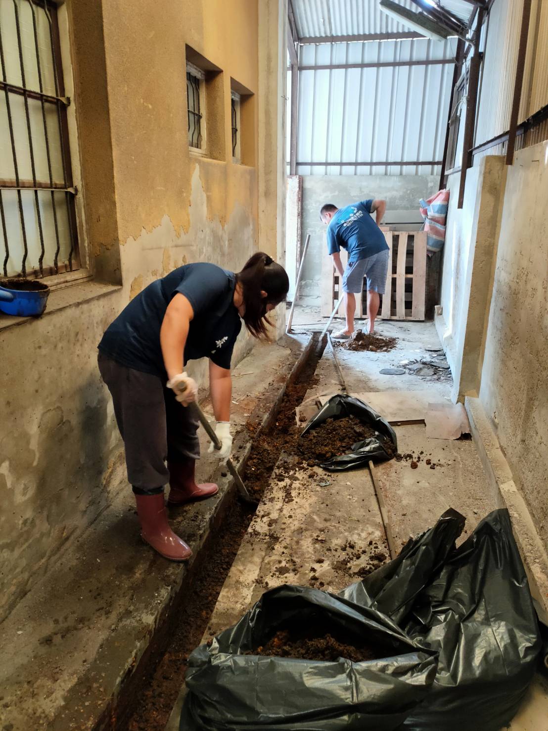 公司清水溝&nbsp;