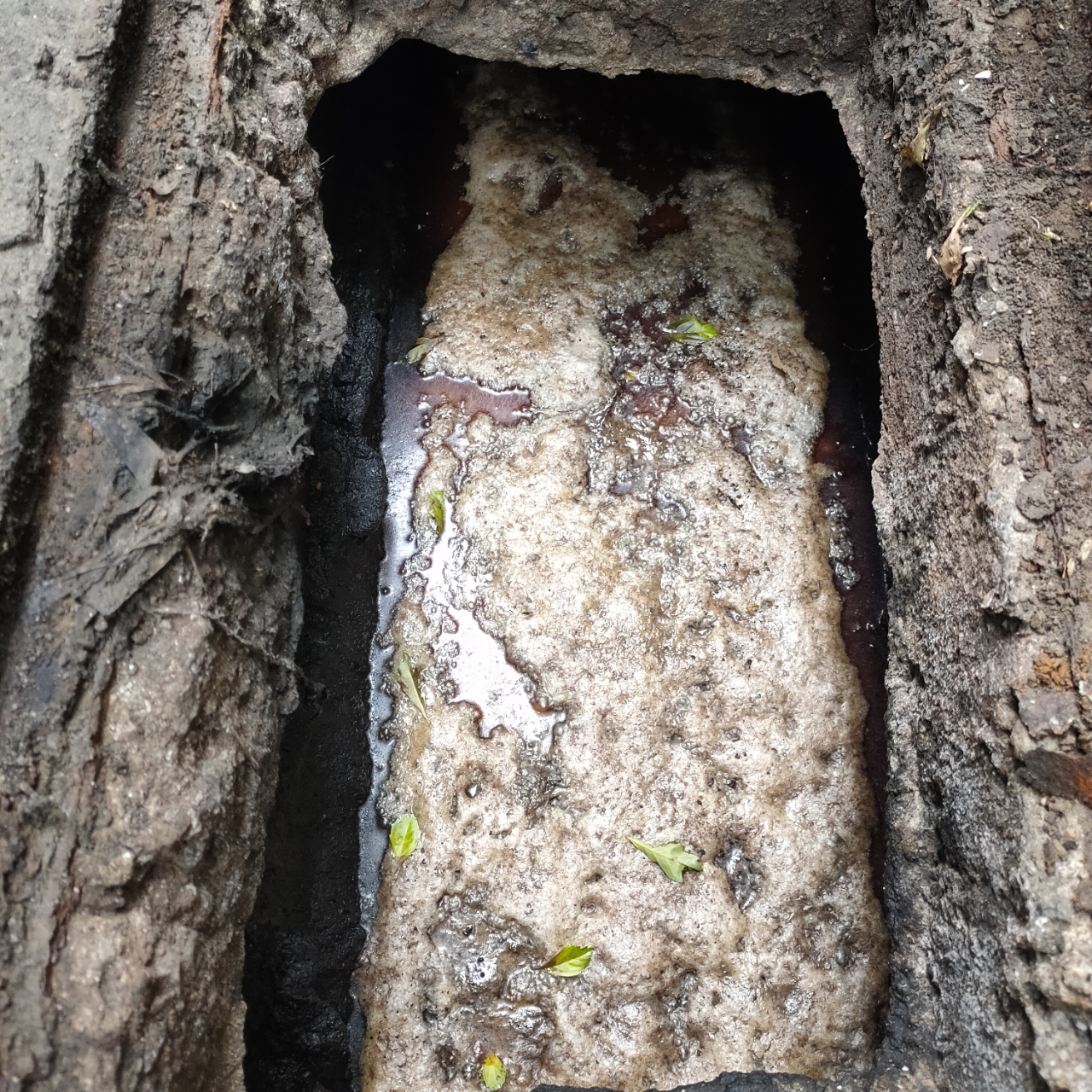 歸仁餐飲業清水溝&nbsp;