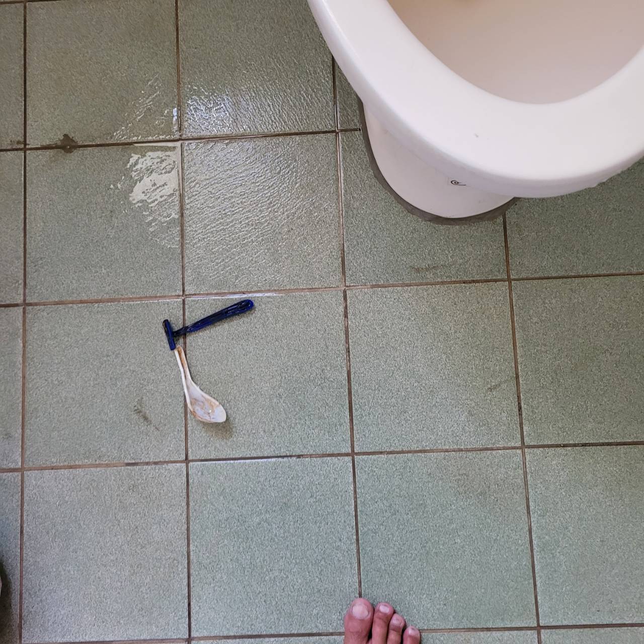 馬桶堵塞（湯匙、刮鬍刀）