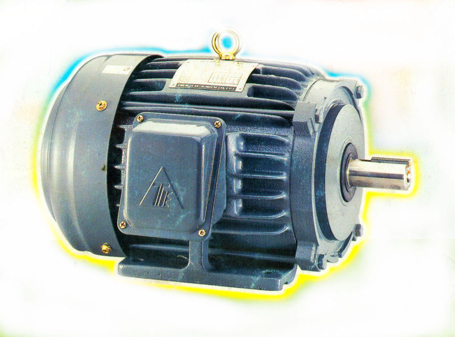 東元低壓三相感應電動馬達(電動機)