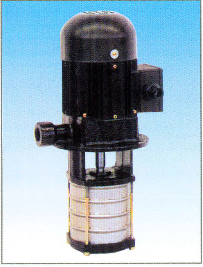 高壓浸漬型泵浦