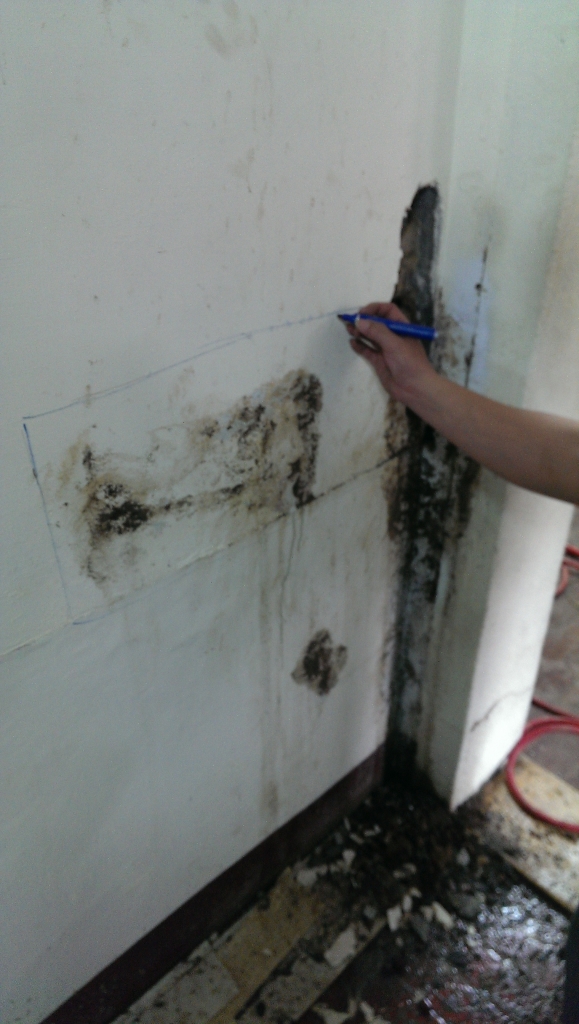 白蟻平房蟻巢蟻后清除