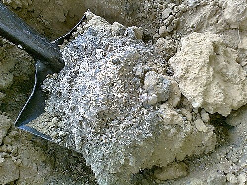 白蟻防治施工技術