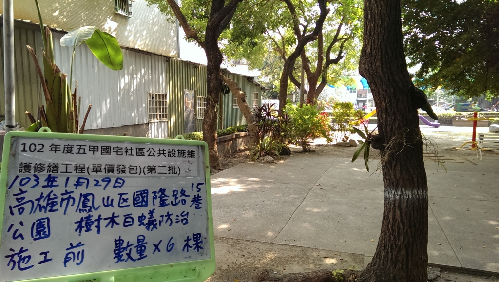 公有行道樹白蟻防治