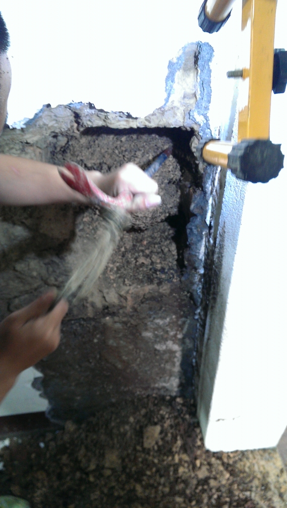 白蟻平房蟻巢蟻后清除