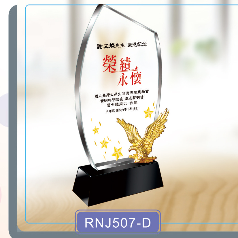 水晶獎牌RNJ507-D