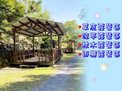 黃長聰-香菇
