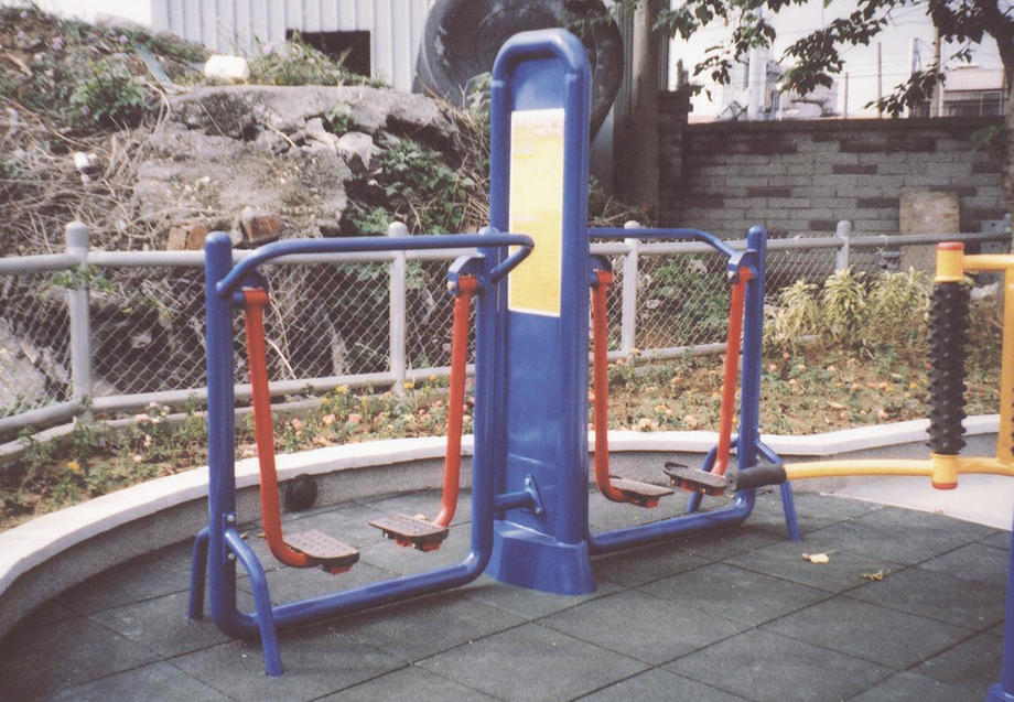 體健設施-雙人漫步機