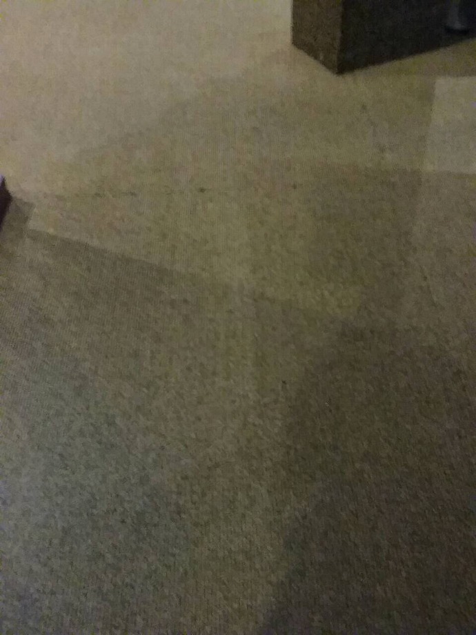 地毯清潔後