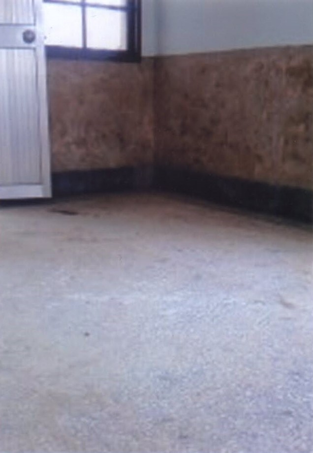 地板清潔打蠟前