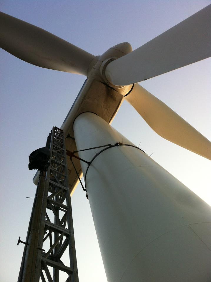 375929_293419710760134_1428260983_n