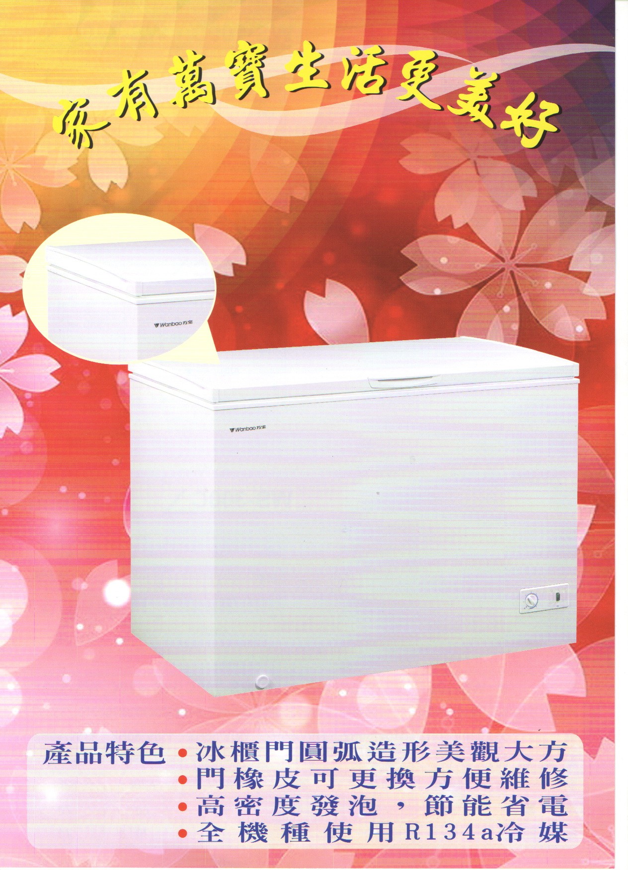 臥室冷凍冷藏冰櫃-掀蓋式冰櫃-3