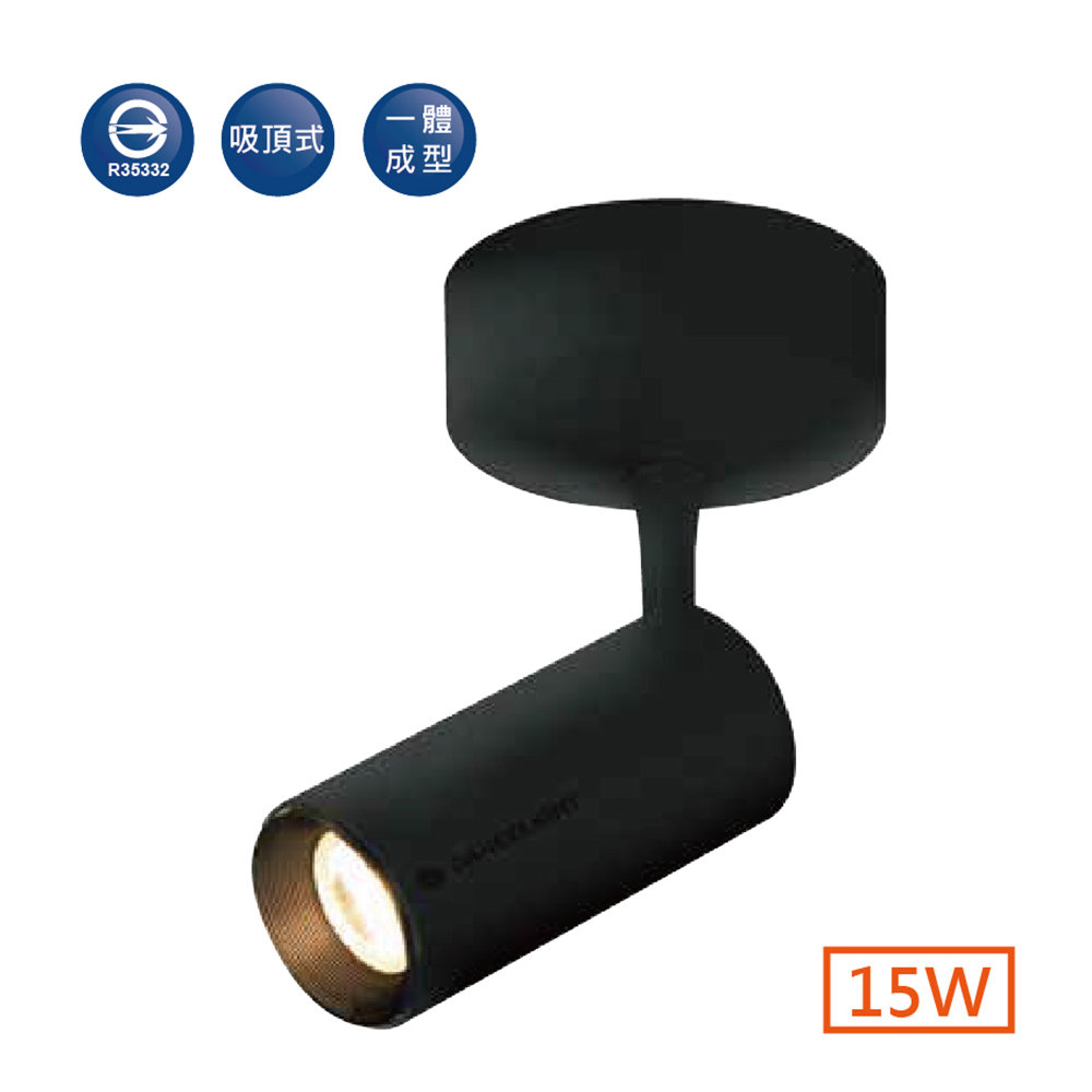 LED-CCP15W-BK-01