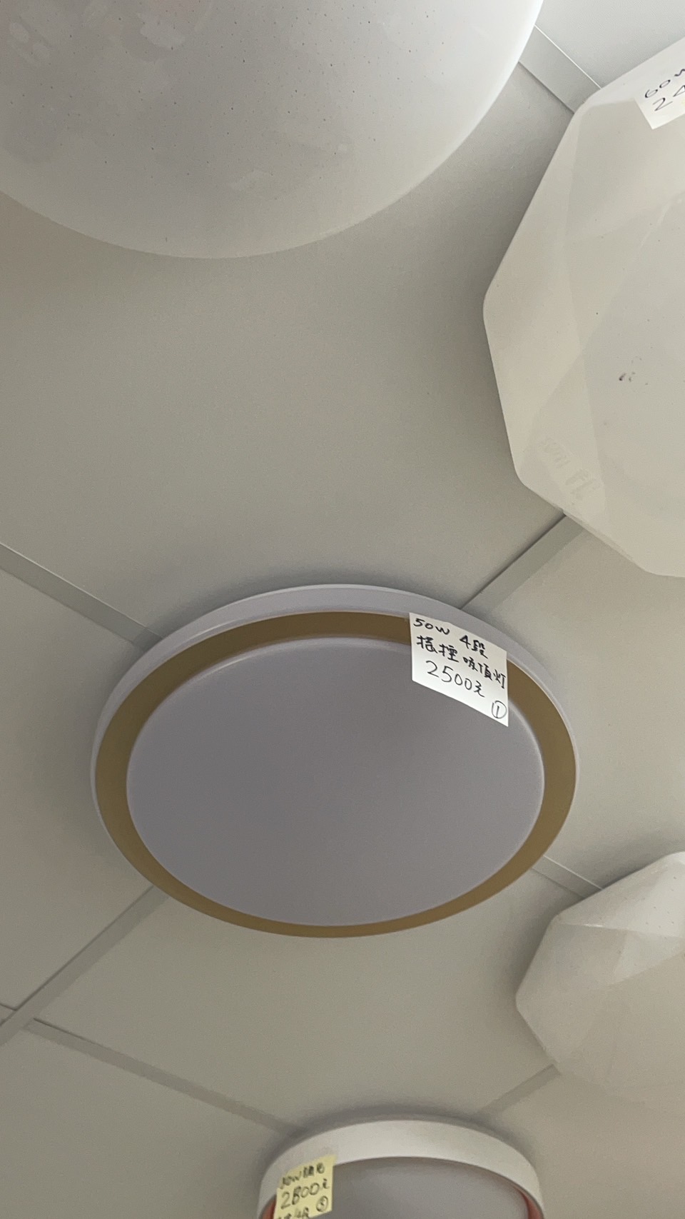 S__476536858_0