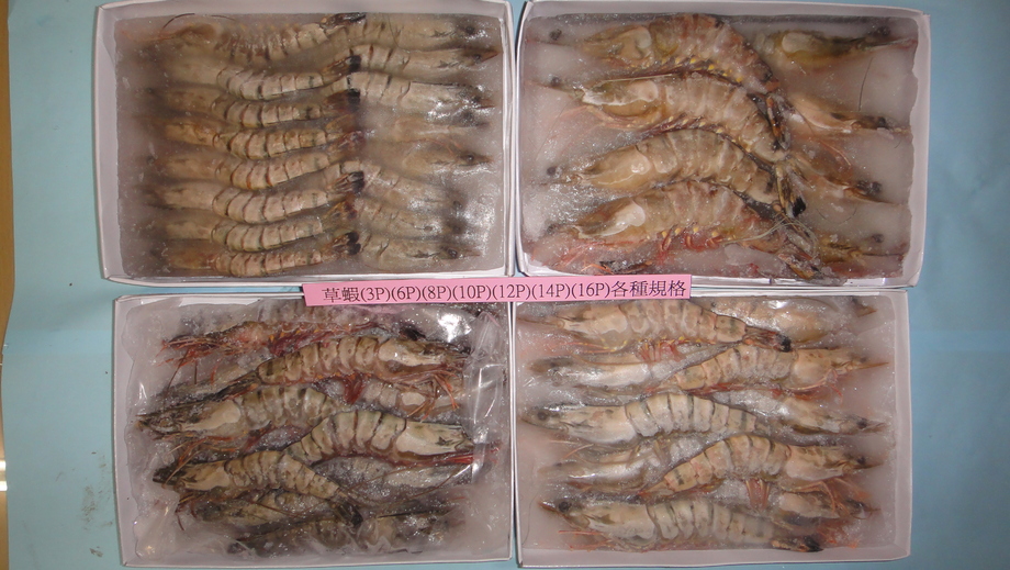 草蝦
