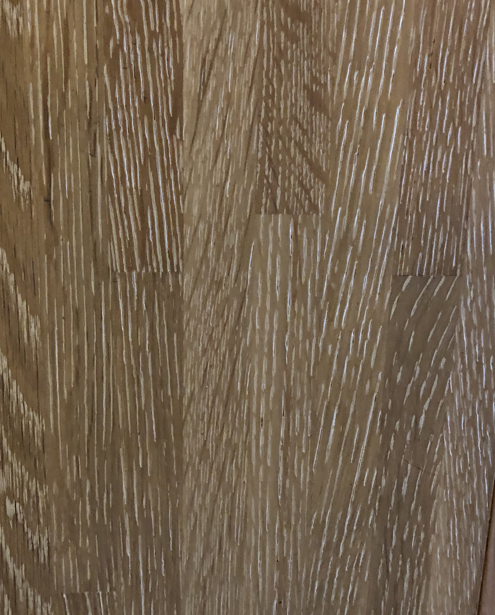 北美白橡導管白