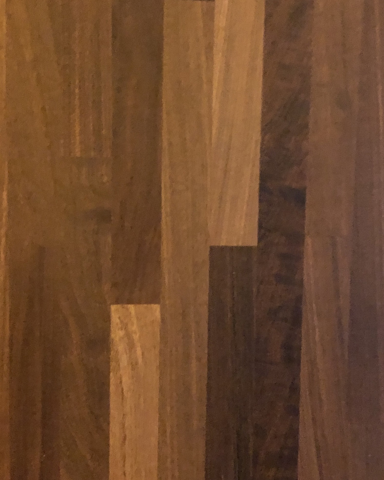 巴拉圭紫檀枳接