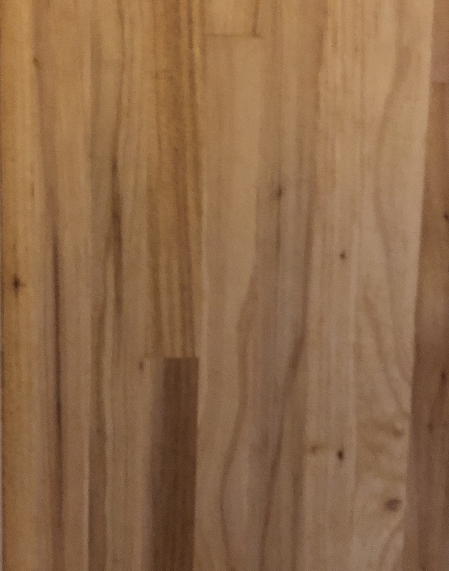 北美山核桃原色