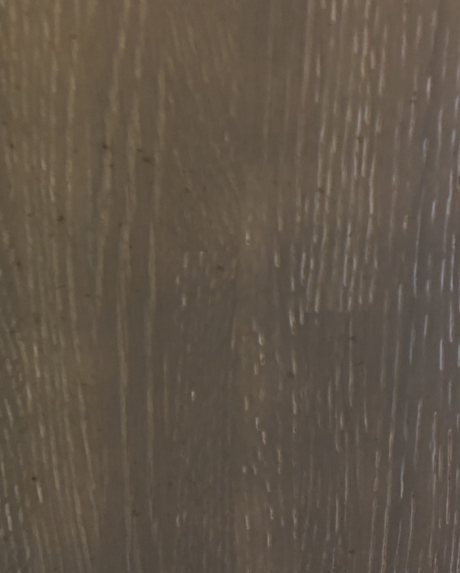 北美白橡導管灰