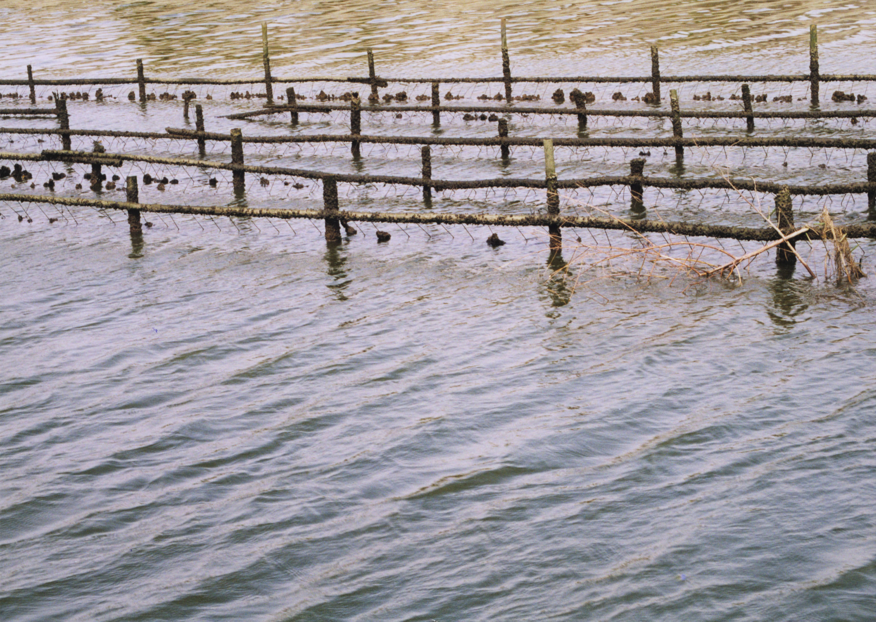 鹽埕區房屋一二胎