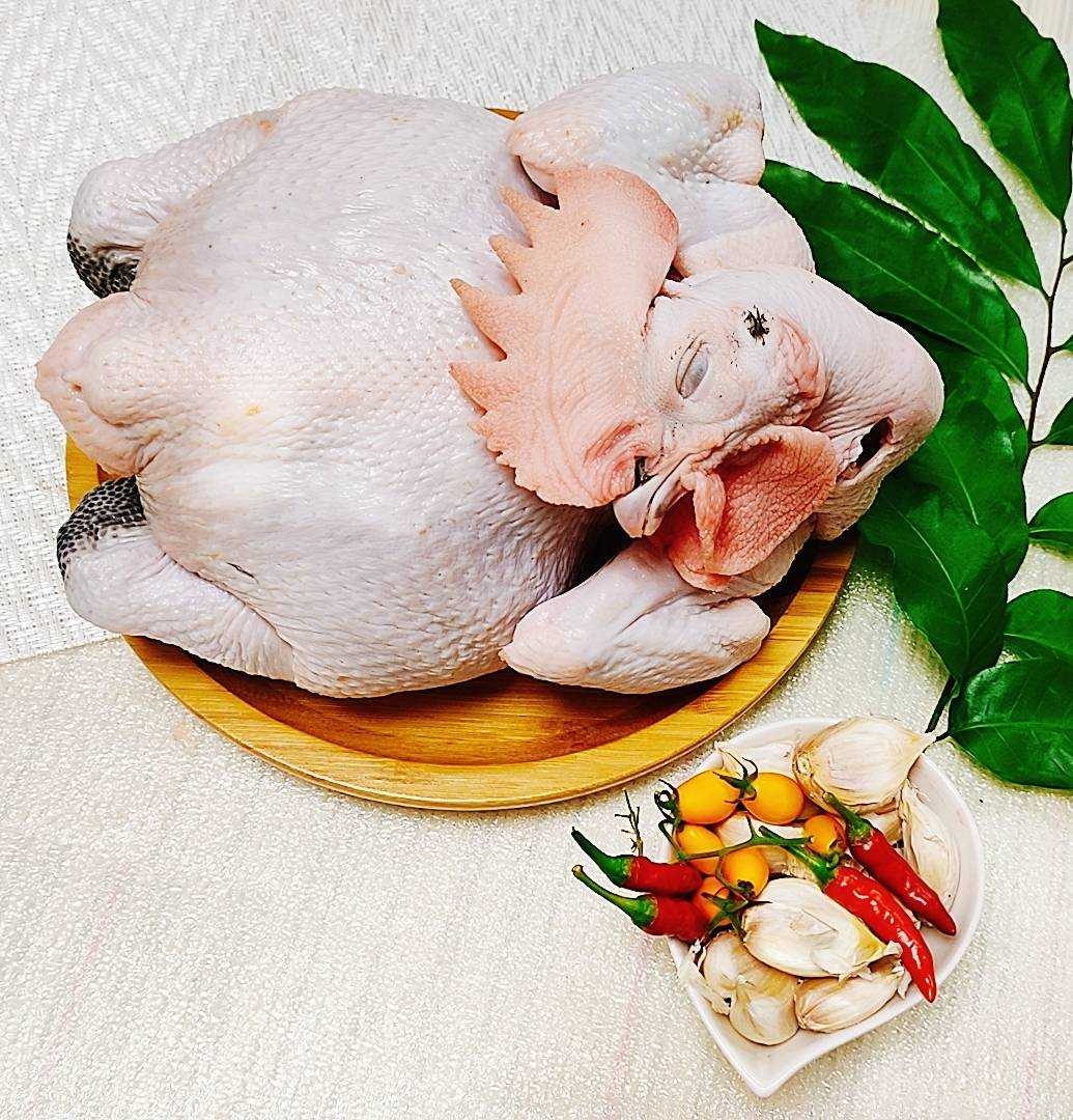 咭鮮食品-放山雞(公)