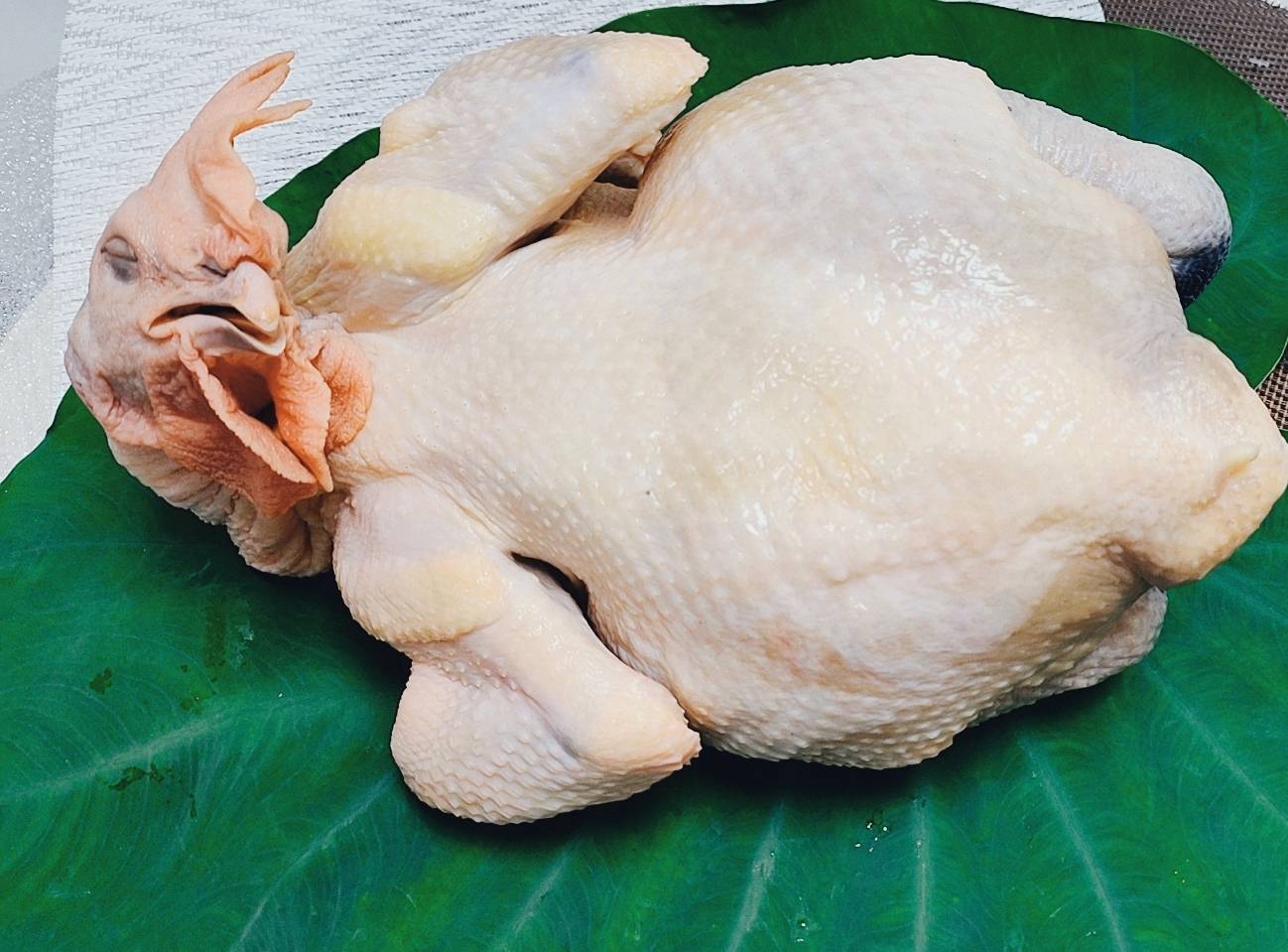 咭鮮玉米雞-全雞