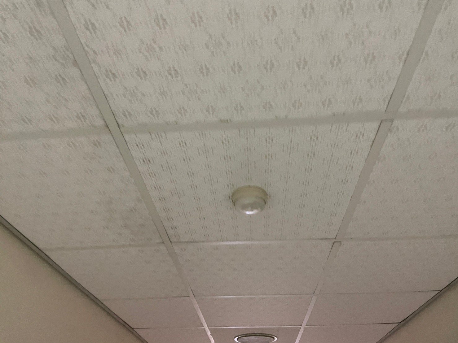 啟明、啟智、啟聰等特殊學校消防檢修