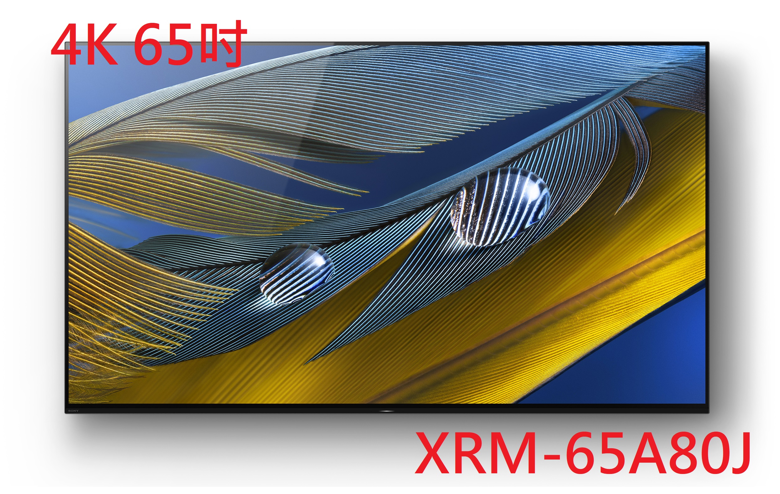 XRM-65A80J