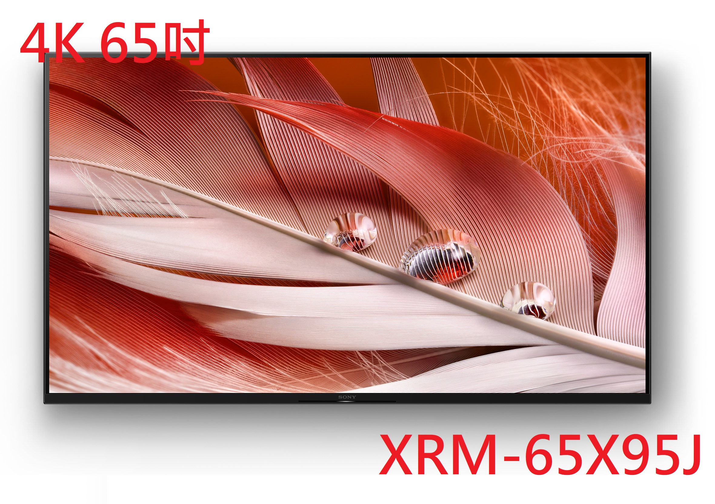 XRM-65X90J