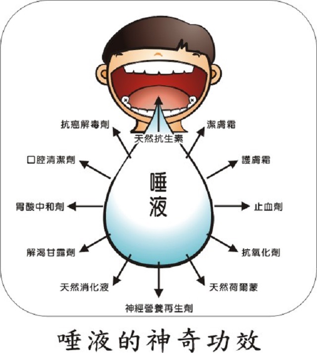 唾液的成份與功用
