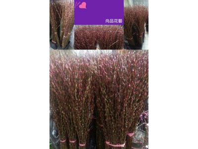 尚品花藝-undefined