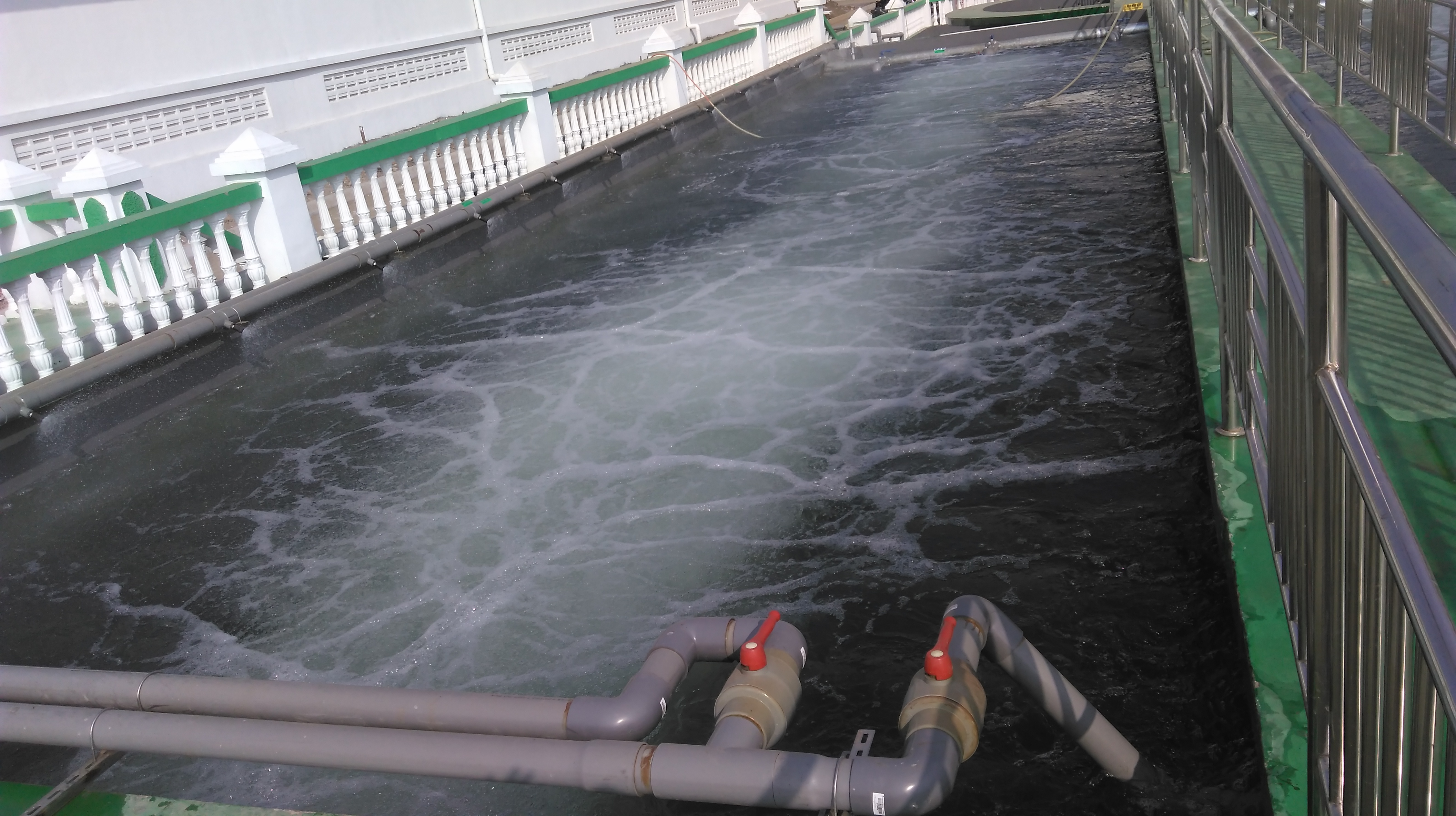 生物接觸曝氣池