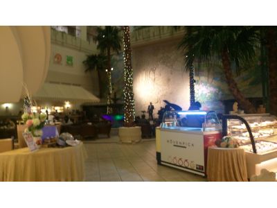 劍湖山王子大飯店-undefined