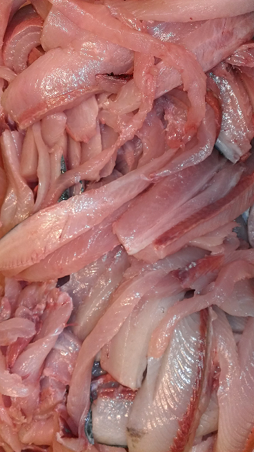 虱目魚【清肉】(10斤)