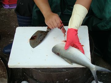 2.拿出虱目魚內臟