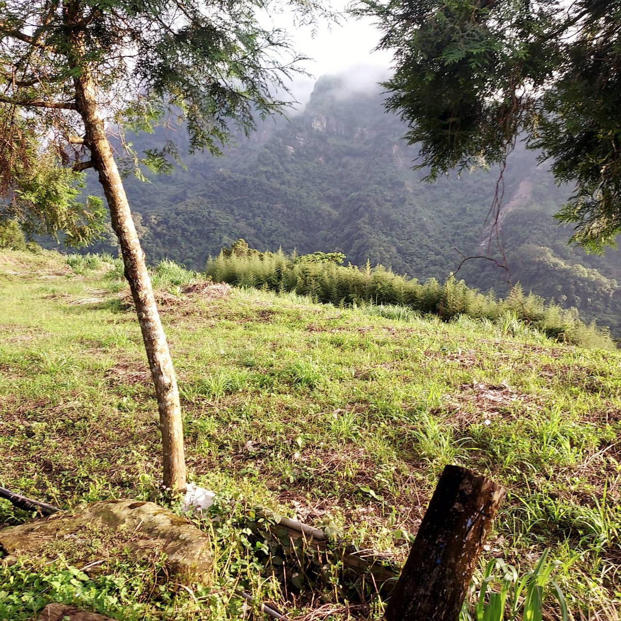 苗栗縣大湖鄉-大南勢休閒地