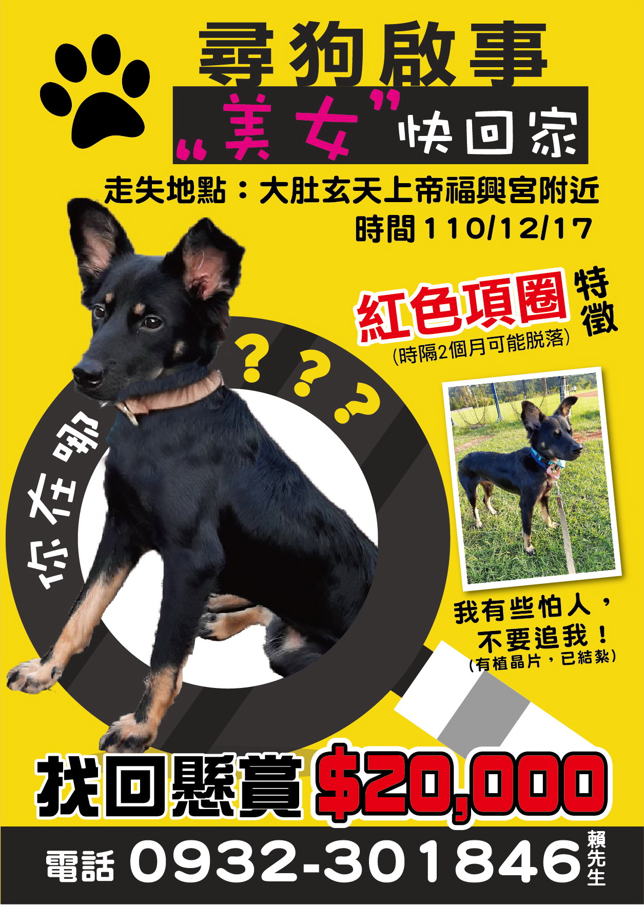 大新廣告宣傳車傳單版面設計