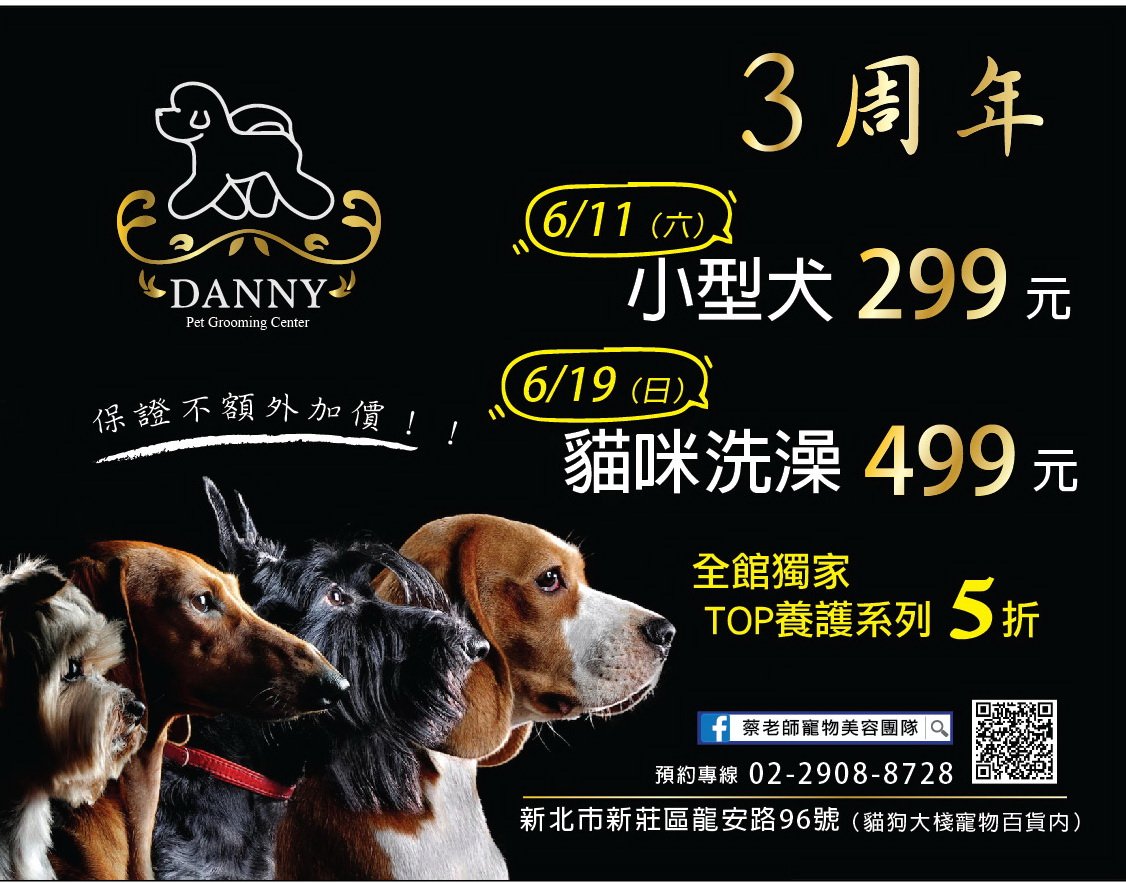 大新廣告宣傳車傳單版面設計