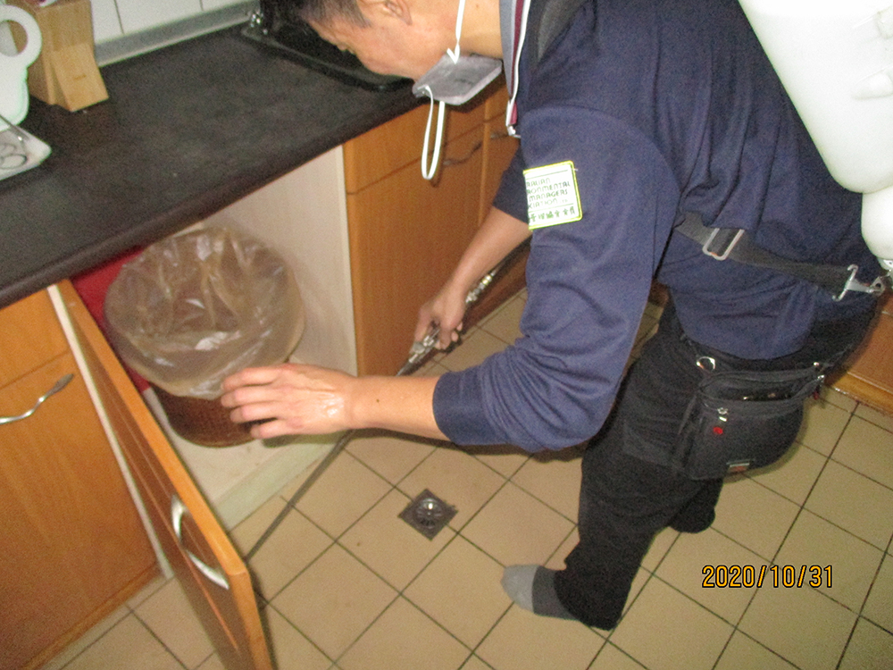 蟑螂蚊蠅防治施工