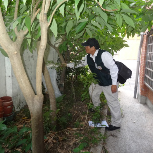 台北市府委託調查及清除病媒蚊孳生源作業