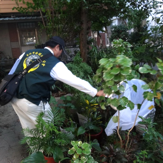 台北市府委託調查及清除病媒蚊孳生源作業