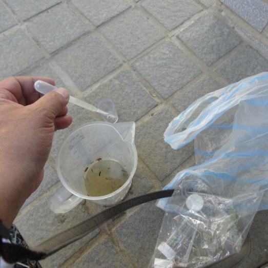 台北市府委託調查及清除病媒蚊孳生源作業