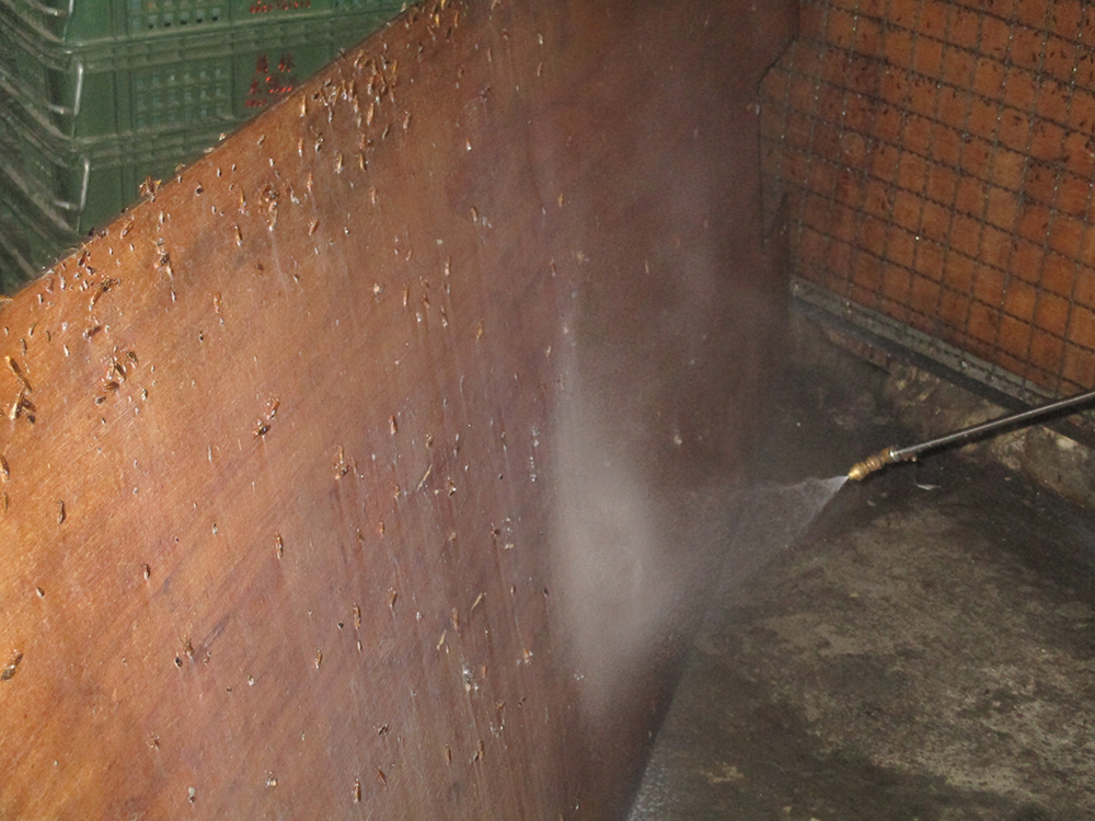 市場病媒防治施工