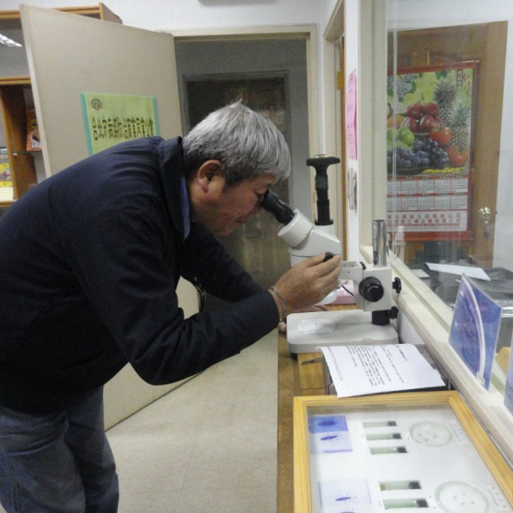 台北市府委託調查及清除病媒蚊孳生源作業