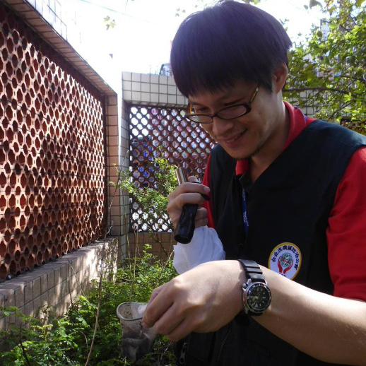台北市府委託調查及清除病媒蚊孳生源作業