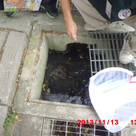 台北市府委託調查及清除病媒蚊孳生源作業
