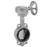 球狀石墨鑄鐵閥(法蘭式)FS016